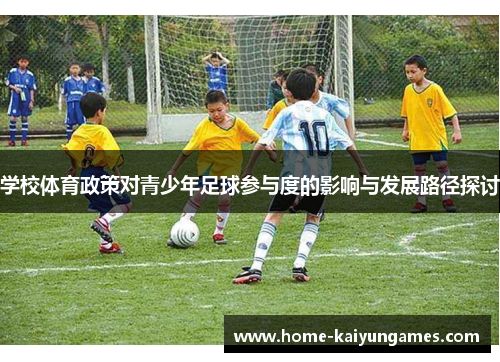 学校体育政策对青少年足球参与度的影响与发展路径探讨